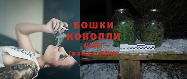 крисы Бугульма