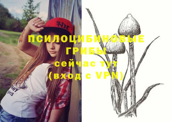 спайс Бородино