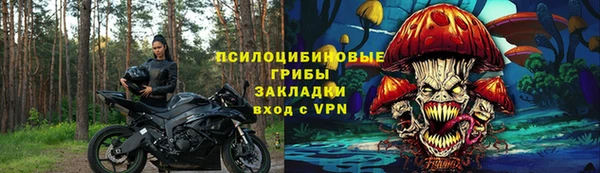 спайс Бородино