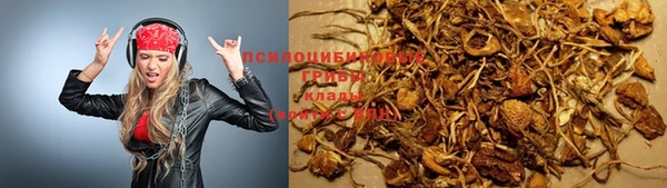 спайс Бородино