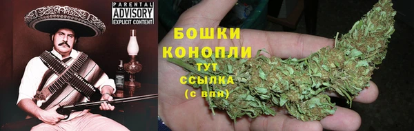 крисы Бугульма