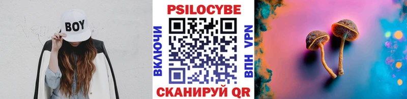 Купить закладки  Костомукша  Псилоцибиновые грибы GOLDEN TEACHER 